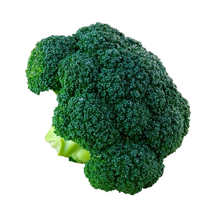 Le brocoli 